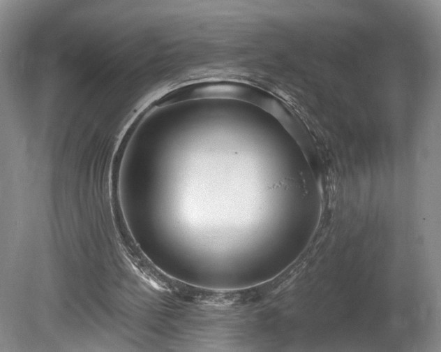 X0000078870148200611201348