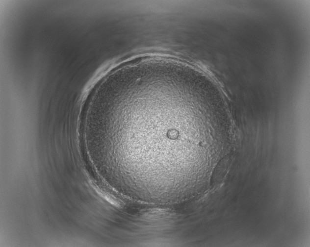 X0000078870151200611201348