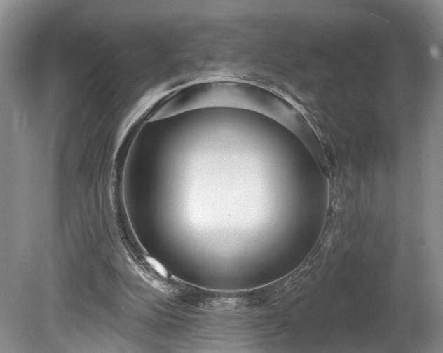 X0000078870152200611201348