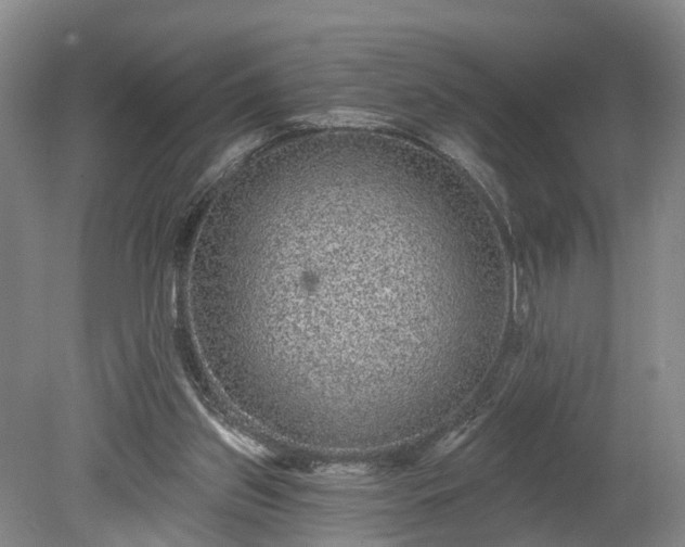 X0000078870157200611201349