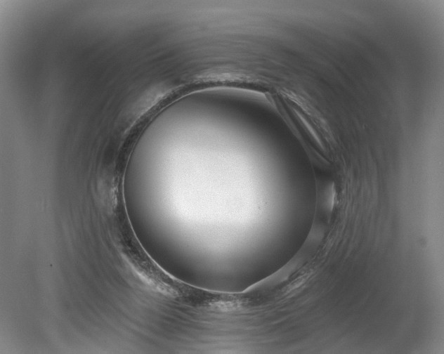 X0000078870160200611201349