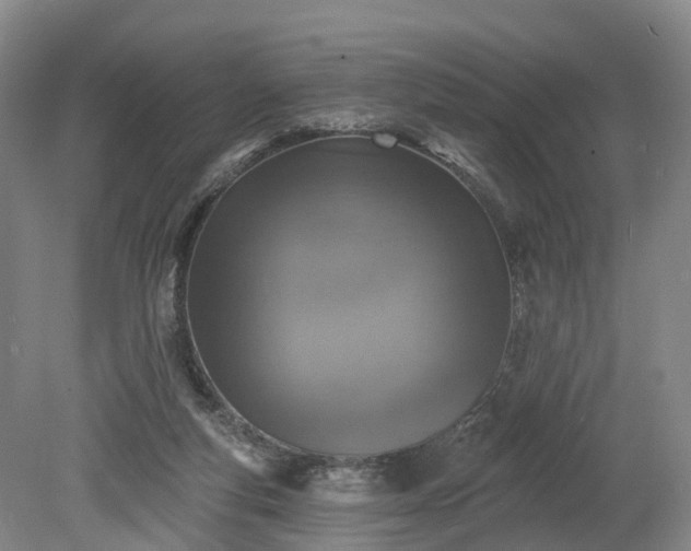 X0000078870163200611201349