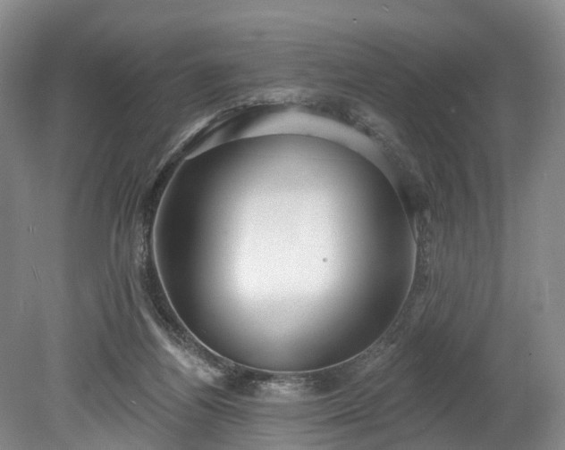 X0000078870164200611201349