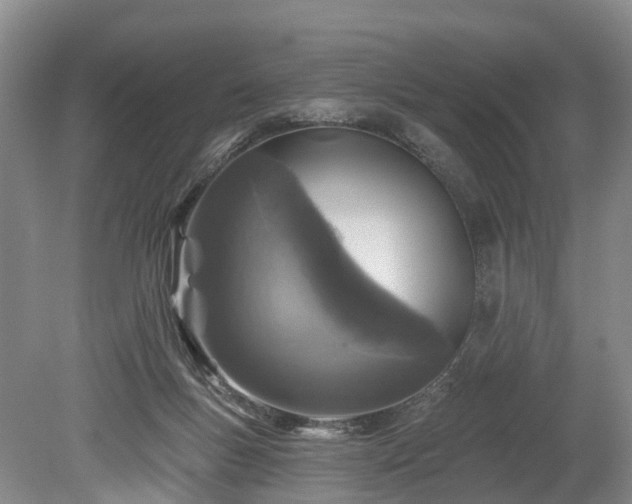 X0000078870167200611201349