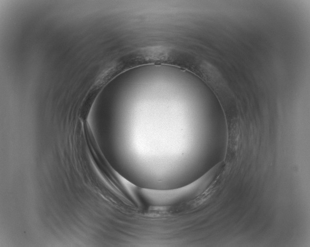 X0000078870172200611201349