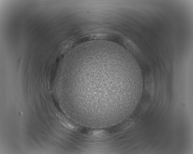 X0000078870173200611201349