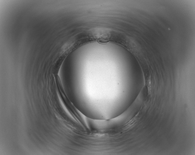 X0000078870176200611201349