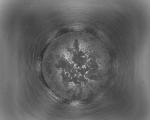 X0000078870177200611201349