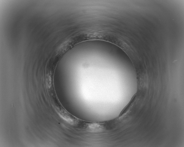 X0000078870183200611201349