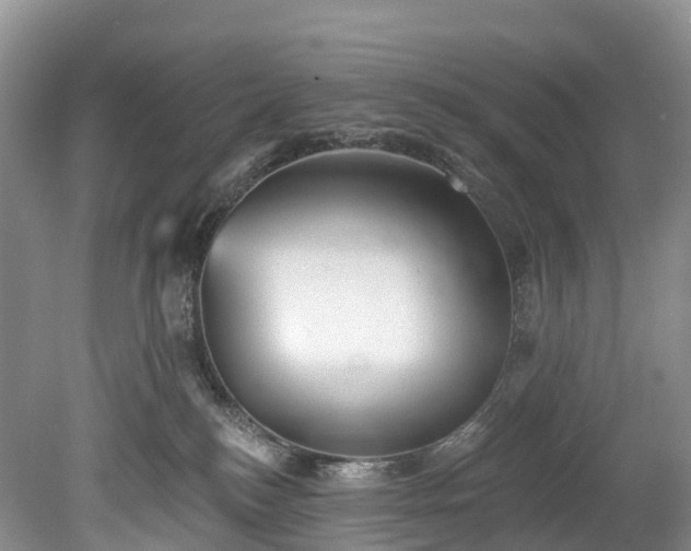 X0000078870184200611201349