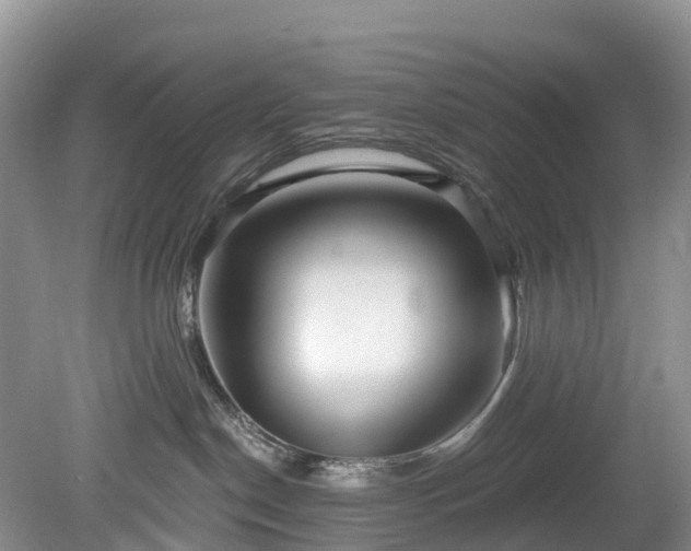 X0000078870190200611201349