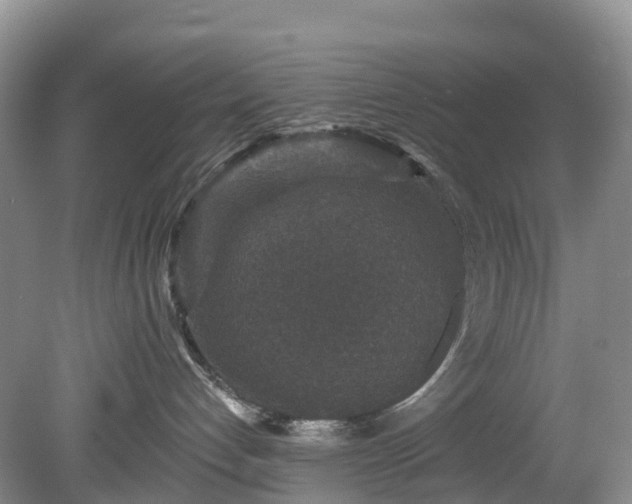 X0000078870192200611201349