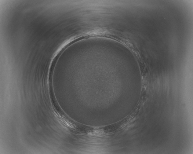 X0000078870196200611201348