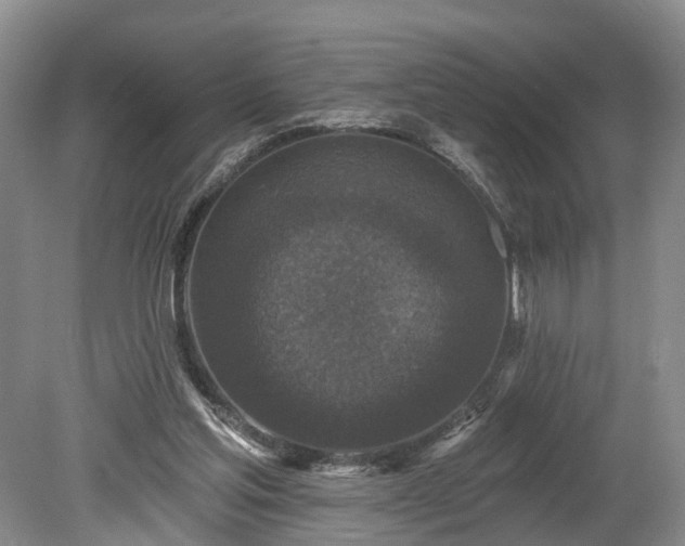 X0000078870205200611201348