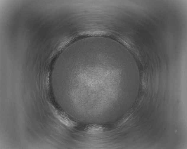 X0000078870206200611201348