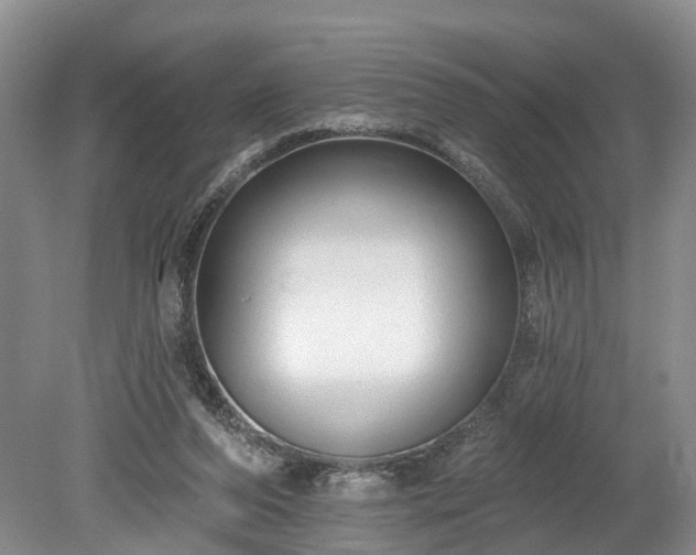 X0000078870208200611201348