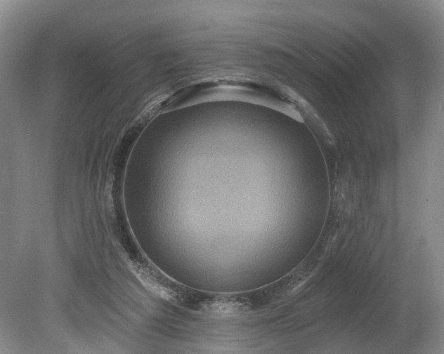 X0000078870209200611201348