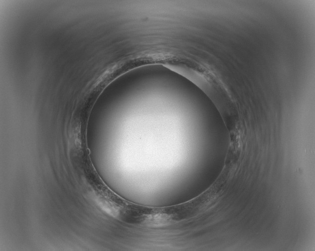 X0000078870212200611201348