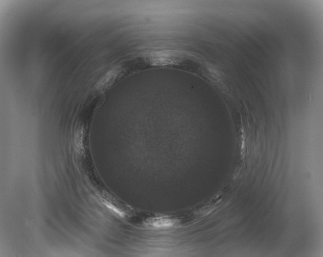 X0000078870219200611201348