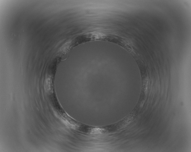 X0000078870222200611201348