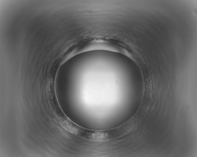 X0000078870225200611201348