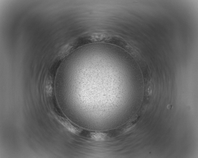X0000078870226200611201348