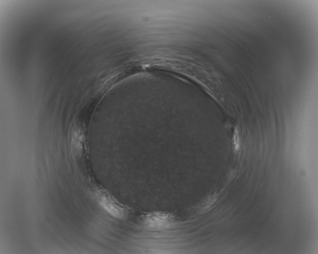 X0000078870235200611201348