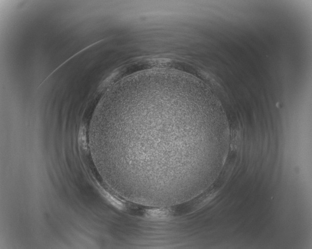 X0000078870238200611201348