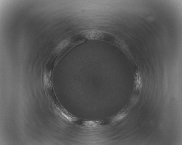 X0000078870239200611201348