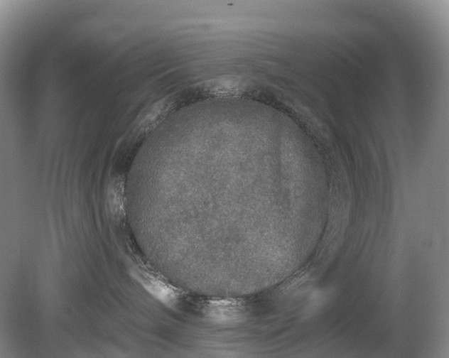 X0000078870240200611201348