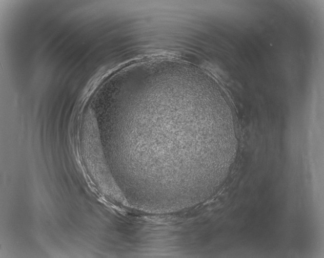 X0000078870241200611201347