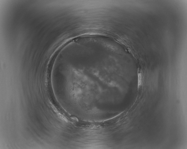 X0000078870243200611201347