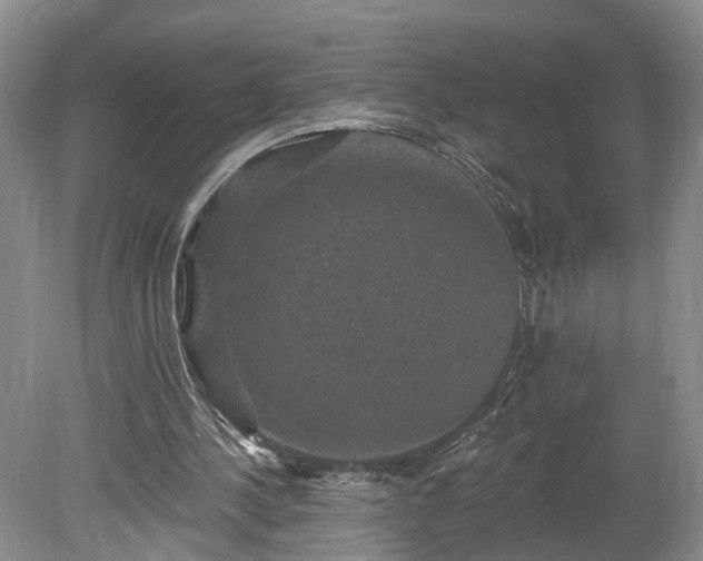 X0000078870244200611201347