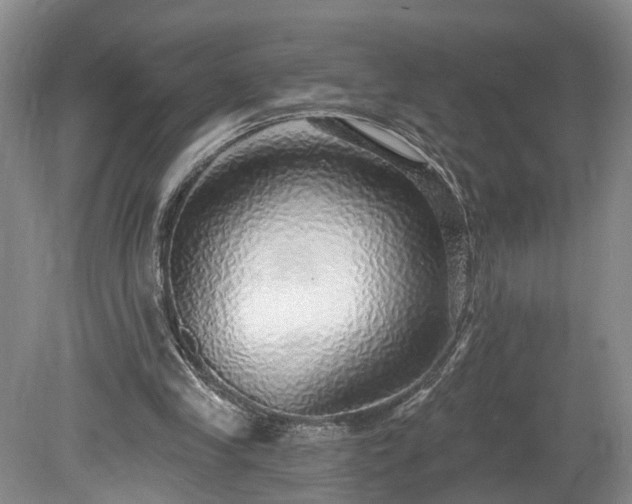 X0000078870245200611201347