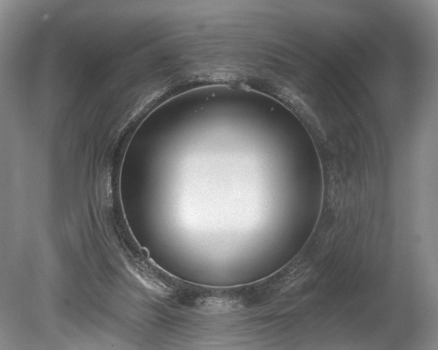 X0000078870251200611201347