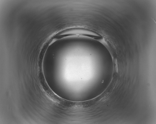 X0000078870252200611201347