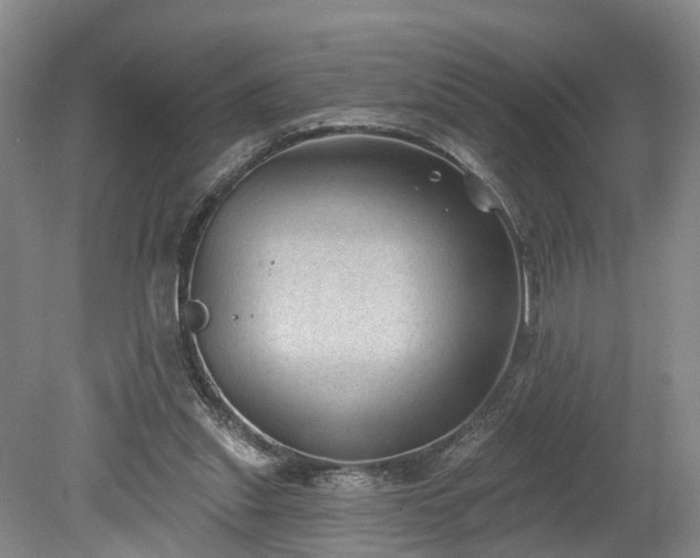 X0000078870253200611201347
