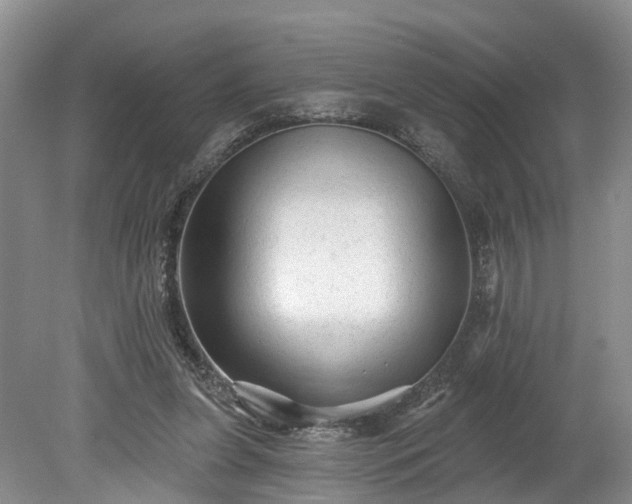 X0000078870255200611201347