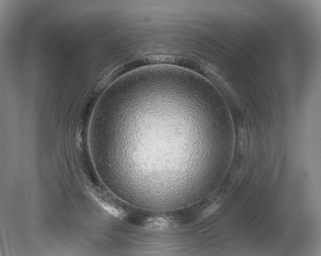 X0000078870259200611201347