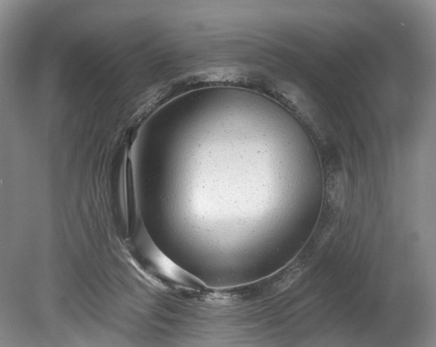 X0000078870261200611201347