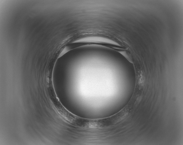 X0000078870264200611201347