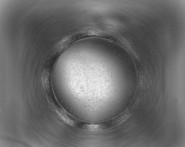 X0000078870265200611201347