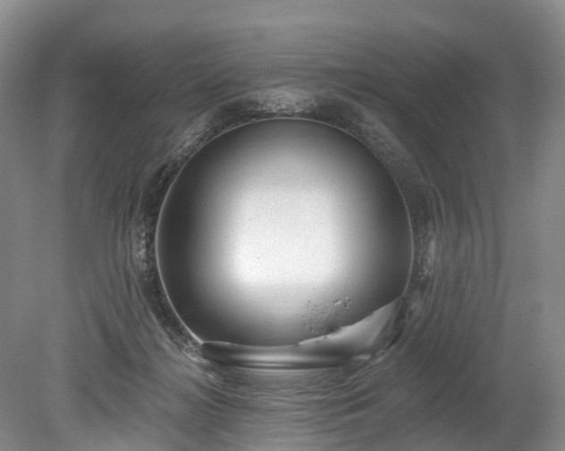 X0000078870268200611201347