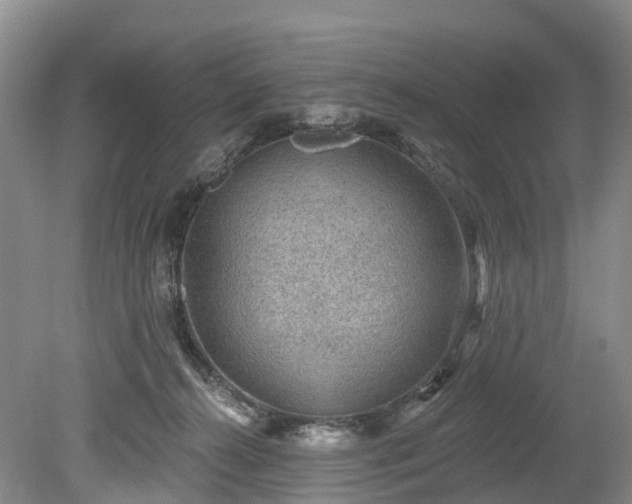 X0000078870272200611201347