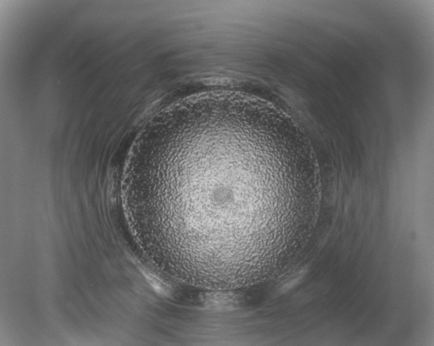 X0000078870273200611201347