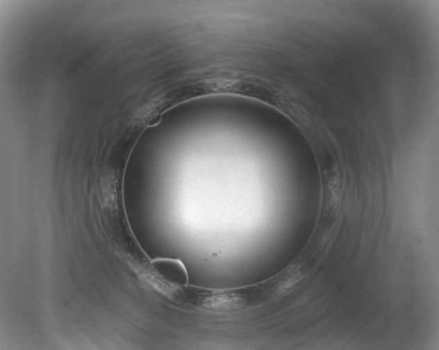 X0000078870274200611201347