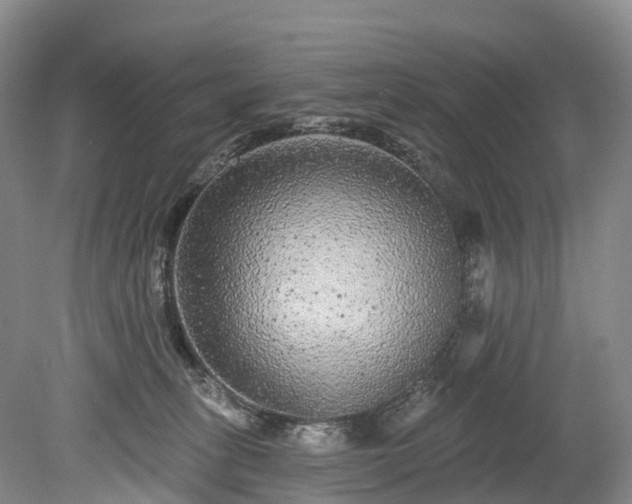 X0000078870275200611201347