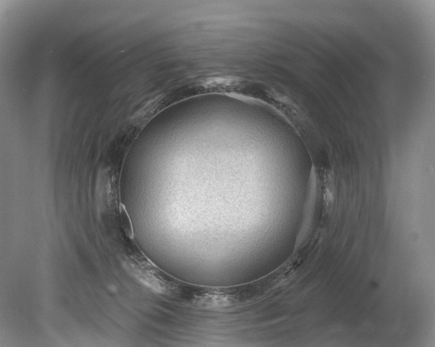 X0000078870276200611201347
