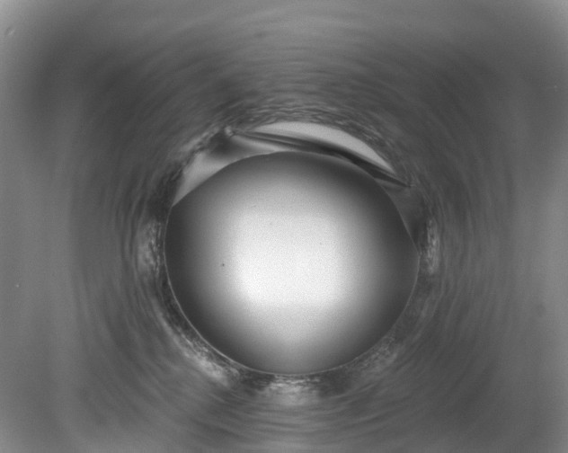 X0000078870280200611201347