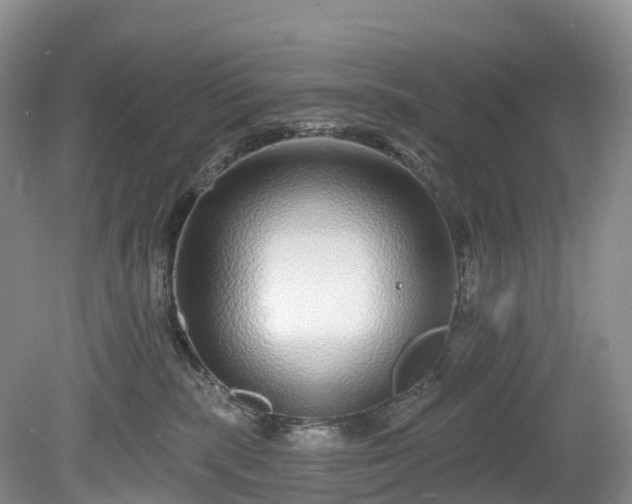 X0000078870283200611201347